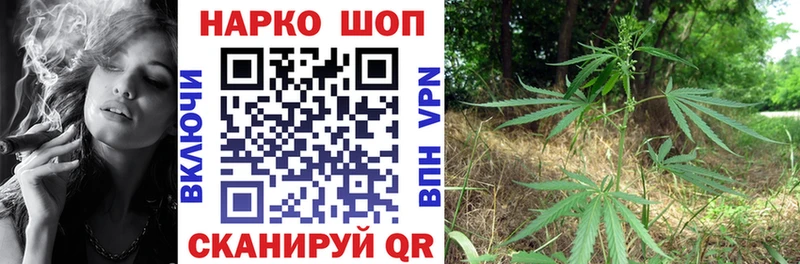 Купить Шумиха Канабис  COCAIN  гидра вход  Меф  Псилоцибиновые грибы 