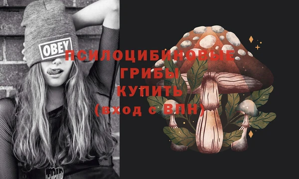 хмурый Абинск