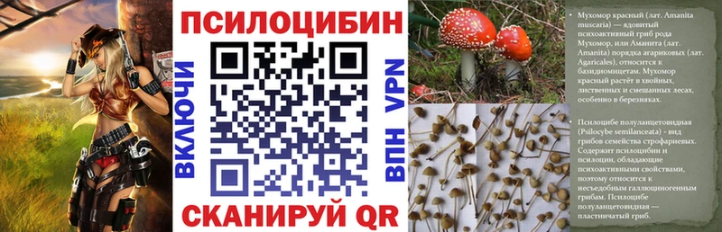 продажа наркотиков  Шумиха  MEGA   Псилоцибиновые грибы мухоморы 